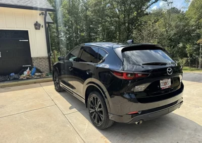 Professional Car Detailing